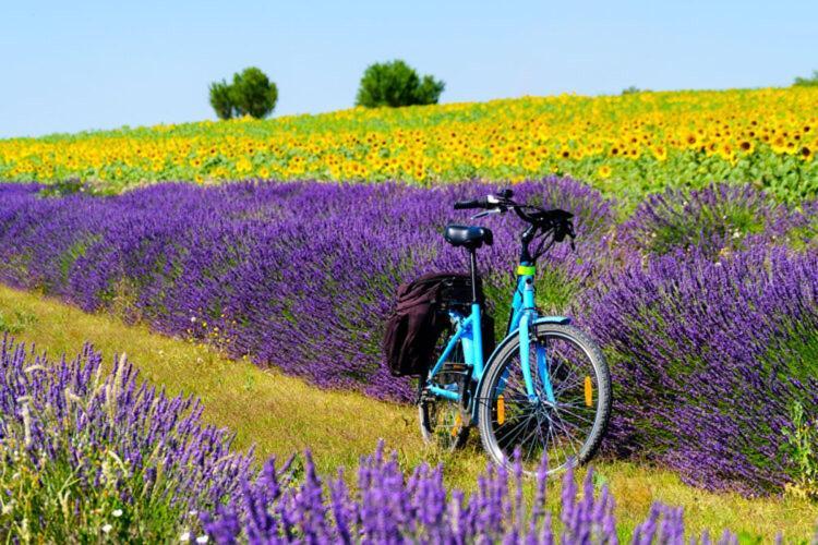 Gite Esprit Colibri Pont-Saint-Esprit Dış mekan fotoğraf